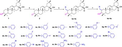 Synthesis of Benzylidene Analogs of Oleanolic Acid as Potential α-Glucosidase and α-Amylase Inhibitors